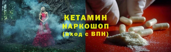 гидра Абаза