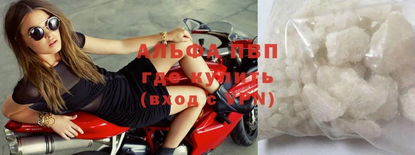 гидра Абаза