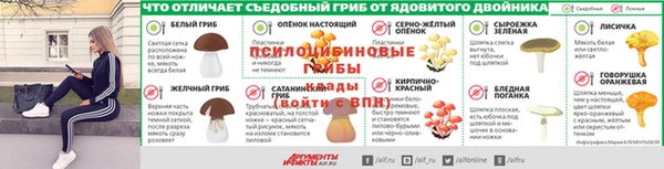 PSILOCYBIN Абинск