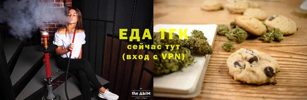 гидра Абаза