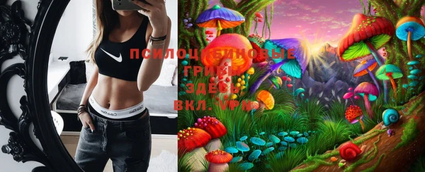 PSILOCYBIN Абинск