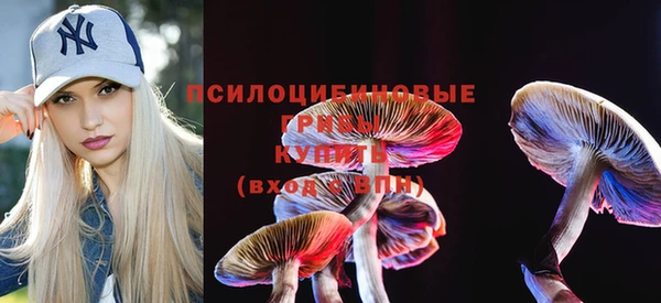 PSILOCYBIN Абинск