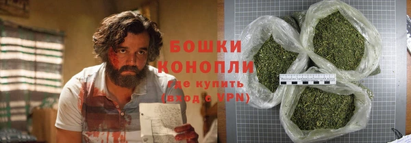 гидра Абаза